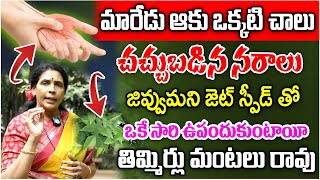 ఒక్క ఆకు చాలు నరాలన్నీ జెట్ స్పీడ్ తో పని చేస్తాయి  Nerve Week Ness  Aruna devi  iDream Health [upl. by Glenden780]