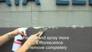 EC Efflorescence  East Chem Specialist in Ceramic Marble amp Granite [upl. by Skippie]