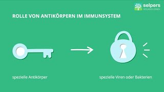 Antigene und Antikörper Experte erklärt [upl. by Hanad]