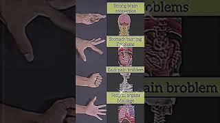 Hand Exercises For Organ fitness motivation viralshorts trendingshorts [upl. by Aridaj]