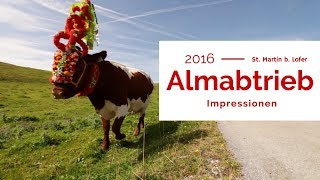 Wie läuft ein Almabtrieb ab  St Martin 2016 [upl. by Aleydis322]