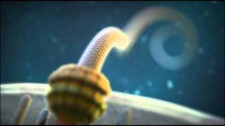 Irreducible Complexity The Bacterial Flagellum [upl. by Repip]