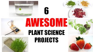 10 Awesome Plant Science Projects [upl. by Piselli]