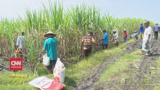 Dalang Tebu di Bumi Anjuk Ladang  CNN Indonesia Heroes PTPN III [upl. by Slinkman]