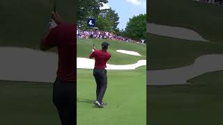 Which Tiger Woods shot is BEST 🤷‍♂️ [upl. by Morgun]