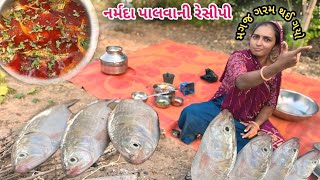 નર્મદા પાલવા ની રેશીપી amp માથા કુટ થઈ ગઈ ☹️Sakshi palva recipe 😋 dariyai khedut [upl. by Hapte340]