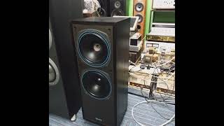 Vare Vintage Tannoy DC2000 floor standing speakers 200 mm bass driver x2made in UK [upl. by Sej]