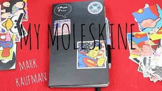 18  MY MOLESKINE КАК Я ВЕДУ ЕЖЕДНЕВНИК  разворот на месяц и день  ГЛАЗА И ГУБЫ [upl. by Manouch712]