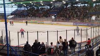 Eisbären Berlin Training 2 0708 23 [upl. by Ltihcox89]