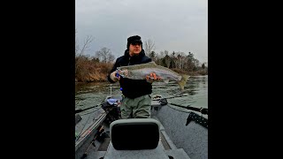 Manistee Steelhead fishing short [upl. by Ahsoyek774]