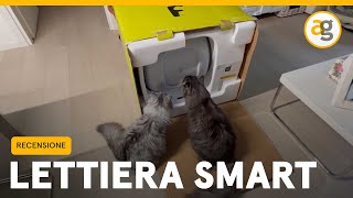 LETTIERA per GATTI SMART Recensione e CONFRONTO [upl. by Henig]