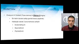 TEMEL VETERİNER HİSTOLOJİ VE EMBRİYOLOJİ  Ünite 9 Özet [upl. by Lindsay]