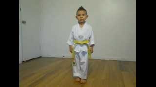 Taegeuk 1 Taegeuk IL Jang yellow belt poomsae 5yr old [upl. by Leirad910]