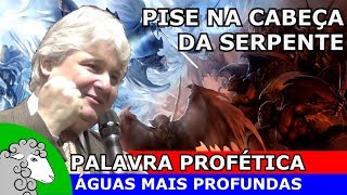 Vença o inimigo que está tentando te intimidar  PALAVRA PROFÉTICA com Paschoal Piragine [upl. by Cesaria]