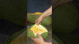 CEMPEDAK DURIAN fruit [upl. by Dumas592]