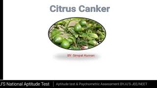 Citrus CankerXanthomonas citri symptomsdisease cycle and control [upl. by Arlie419]