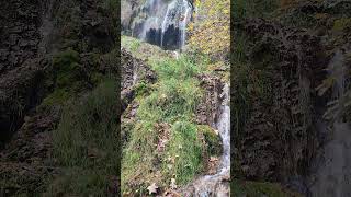 Bad Urach Wasserfall wasserfall badurach şelale sonbahar herbst [upl. by Nostaw942]