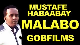 MUSTAFE HABABAAY l MALABO l SOMALI MUSIC 2017 [upl. by Lorant]