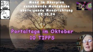 Portaltage im Oktober  10 Tipps wie du damit umgehen kannst [upl. by Innad]