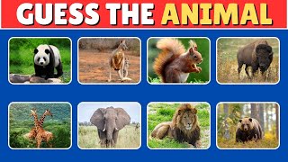 Can You OUTSMART These 20 Animals [upl. by Regan388]