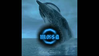 mosasaurus hoffmanni vs otodus megalodon paleo edit paleontology shorts 1v1 [upl. by Courtund]