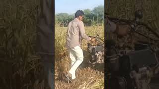 Pawar ripar masin😱 pawar shortvide music love travel [upl. by Middle]