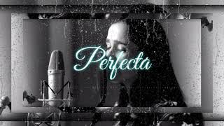 Miranda Ft Julieta Venegas  Perfecta Version violin [upl. by Okoyk541]