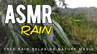 Go to Sleep ASMR Rain bamboo forest Sounds  Relaxing Sounds for Insomnia Symptoms amp Sleeping [upl. by Etnovad906]