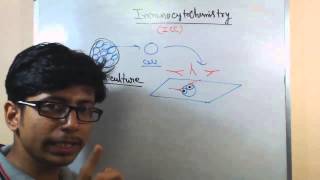 Immunocytochemistry lecture principle and procedure [upl. by Nrevel]