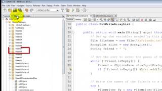 Java  Reading and Writing using ArrayLists [upl. by Bride]