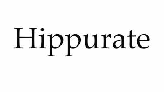 How to Pronounce Hippurate [upl. by Aleunamme405]