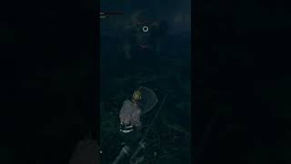 Like and subscribe for more content gaming darksouls darksoulsremastered funny moments [upl. by Ridglee]