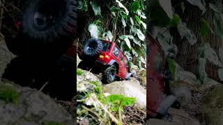 Jeep Rubicon Trail Action jeep rccar rcjeep jeeprubicon fms easyrc [upl. by Netsuj]