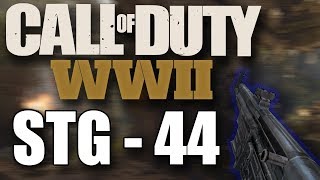 COD WW2 STG 44 BEST CLASS amp DIVISION SETUP STG44 BEST CLASS SETUPS CALL OF DUTY WORLD WAR 2 [upl. by Rowan]