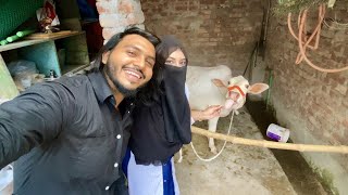 Finally Pet Cow from Wife 😍❤️ [upl. by Gellman]