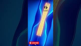 Angioplasty stent animation [upl. by Anitsugua]