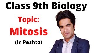 Mitosis  Mitosis lecture of class 9 biology in pashto Home of biology [upl. by Mcgill]