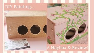 DIY Painting A Hay Box amp Happy Rabbit Company Review [upl. by Euqinay]