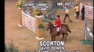 David Bowen  Scorton  1981 King George V Gold Cup [upl. by Laidlaw]