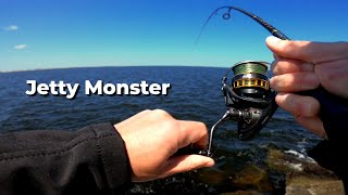 LIVE SHRIMP Fishing the Mayport JETTIES [upl. by Callery]