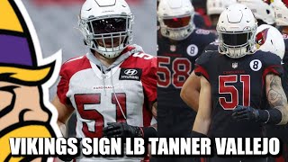 Vikings Sign LBST Star Tanner Vallejo Waive LB William Kwenkeu Injury Designation [upl. by Onder]