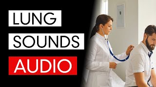 Lung Sounds  Audio COVID19 Pneumonia Included [upl. by Landes]