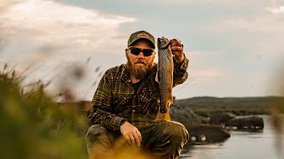 Ørretfiske i hjertet av Hardangervidda [upl. by Adam]