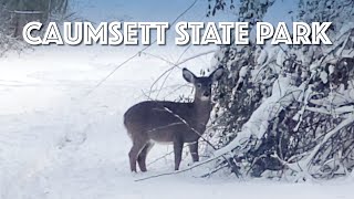 Lloyd Harbor and Caumsett State Park Snow Activities Part 3 [upl. by Bertrando]