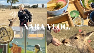 奈良vlog🇯🇵🦌 被鹿追着跑🏃🏻‍♀️🏃🏼‍♀️奈良公園🌳 大佛布甸🍮 [upl. by Bailar]