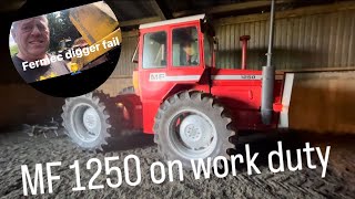 MF 1250 put to work again  FERMEC digger fail [upl. by Corena]