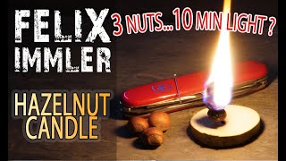 How to make a Hazelnut Candle  Hazelnut Torch  Survival Candle  Bushcraft Candle no resin needed [upl. by Barcellona]