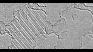 Fullerene formation from graphene  A Chuvilin et al [upl. by Nylrahs]