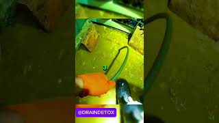 man unscrews drain and it explodes from pressure satisfying draincleaning drainage plumbing [upl. by Anuahsat860]