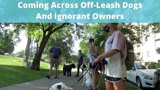 OffLeash Dog Etiquette 101 Coming Across OffLeash Dogs With Ignorant Owners Speak Up [upl. by Adis]